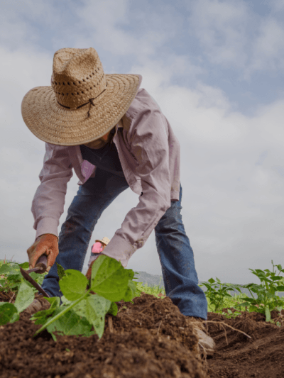 Agriculture & Farming